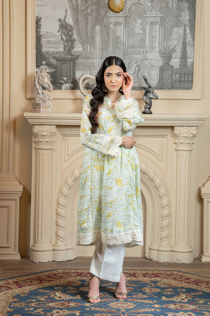 Stitched embroidered A-line frock+basic trouser